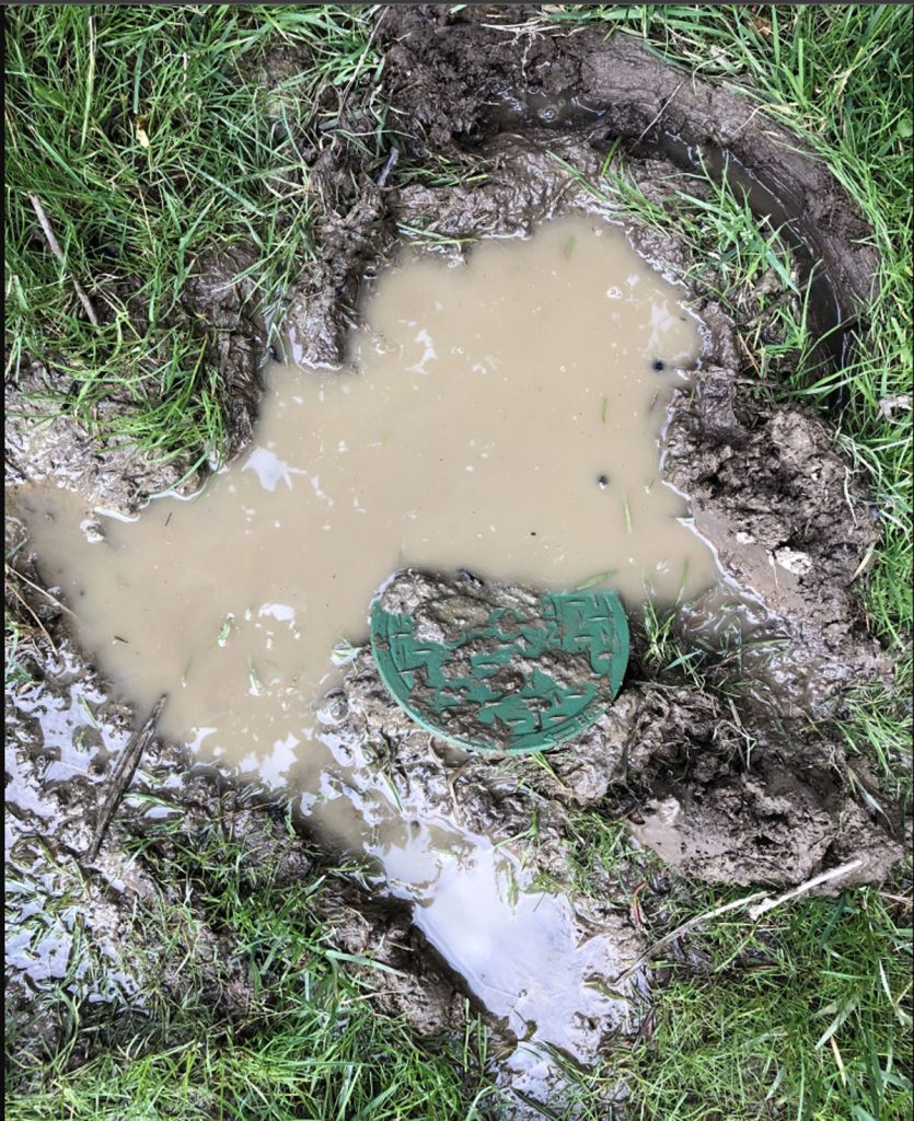 Irrigation leak in a residential yard
