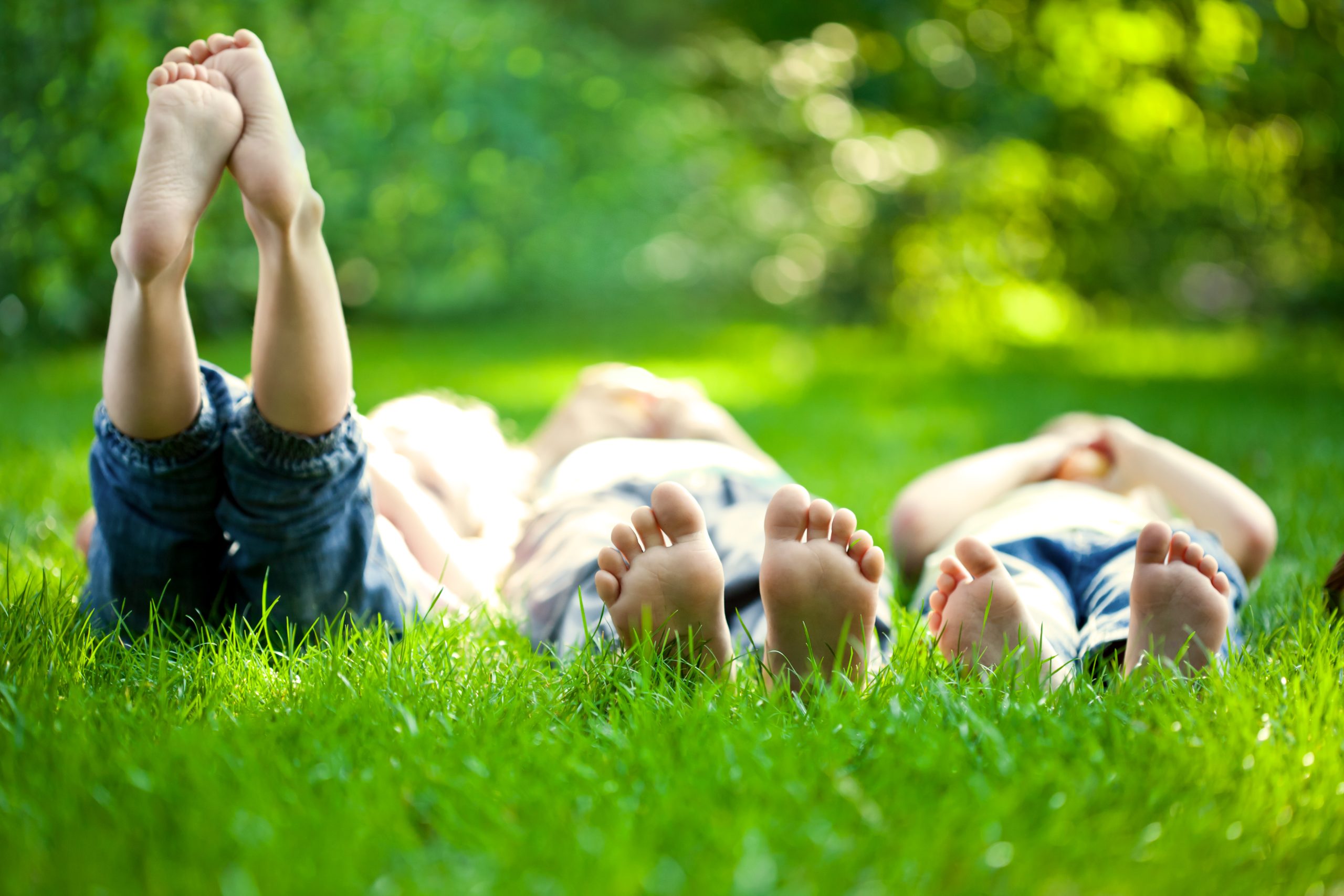 Family enjoying a healthy lawn in Grosse Pointe